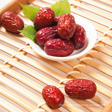 chinese jujube Lowest Price Spine Date Seeds